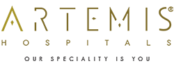 Hôpitaux Artemis